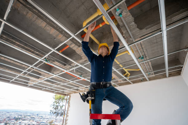 Best Leak Detection Services  in Junction City, KY